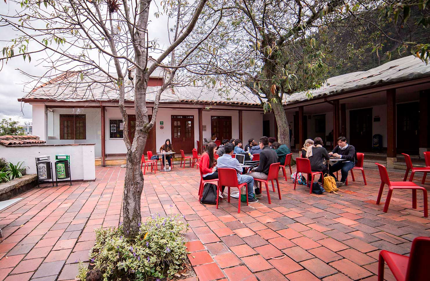 Campito-2 Campito-2