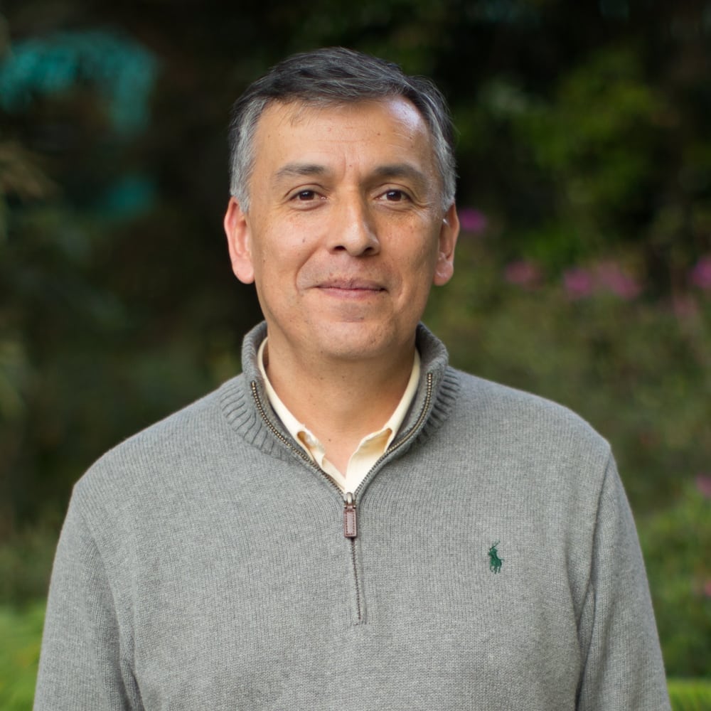 Literaturas española e hispanoamericanas siglos XX y XXI