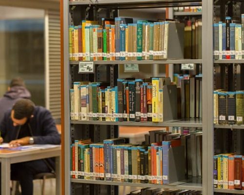 Opciones académicas del Departamento de Humanidades y Literatura