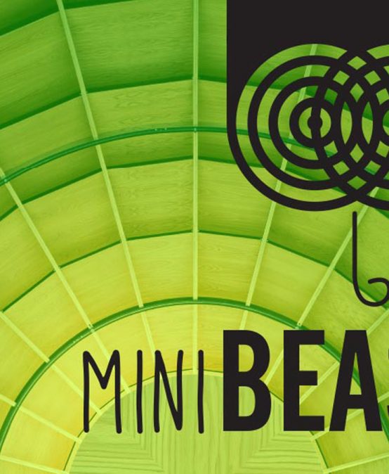 MiniBEAST – BLAST