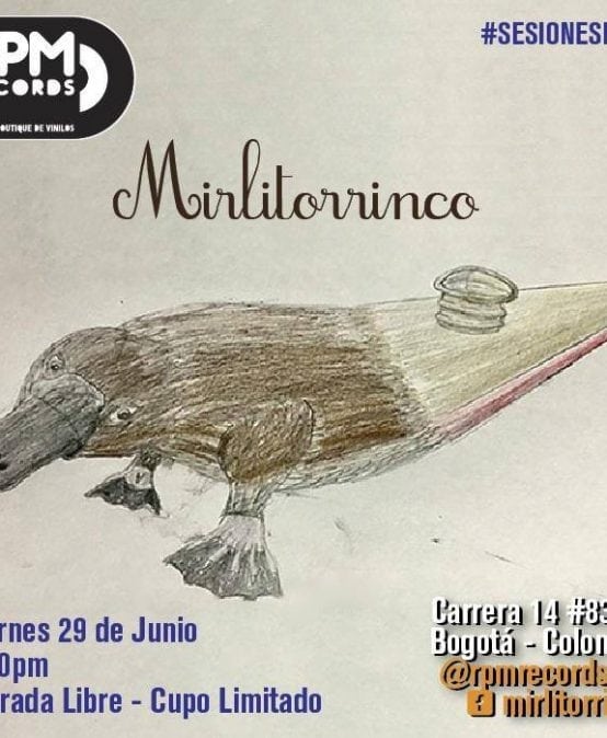 Mirlitorrinco en SesionesRPM