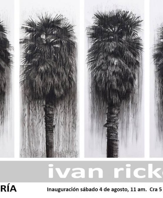 Exposición: Siega de Ivan Rickenmann en Alonso Garcés Galería
