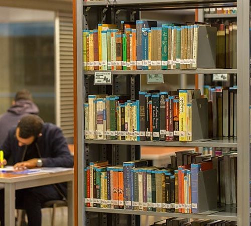 Cursos pregrado en Literatura 2019-10