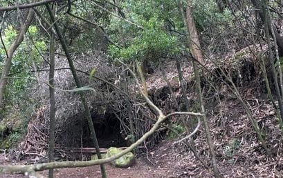 Colectivo de egresados y profesores de Arte participa en obra proyecto de arte y naturaleza