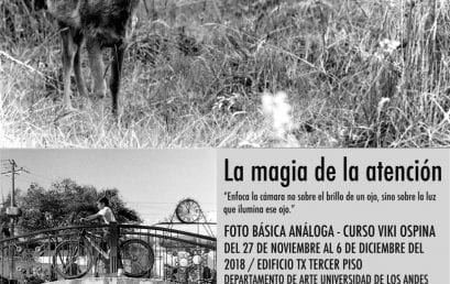 Exposición La magia de la atención