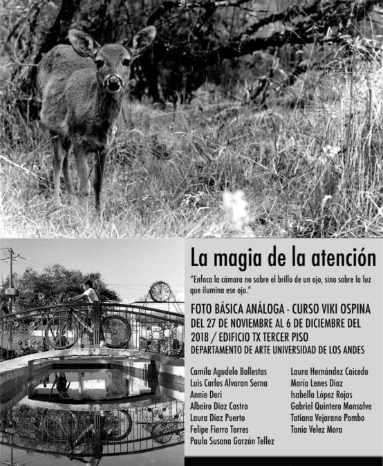 Exposición La magia de la atención