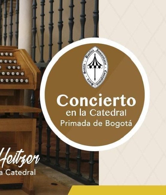 Recital de órgano con Vincent Heitzer en la Catedral