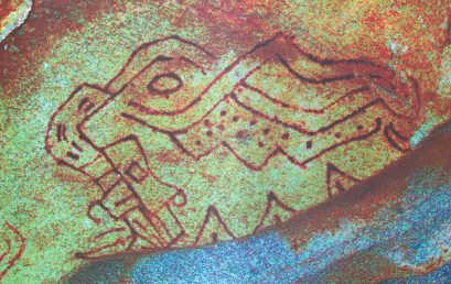Exposición: Imágenes de un territorio dibujado
