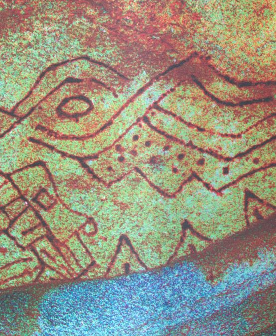 Exposición: Imágenes de un territorio dibujado