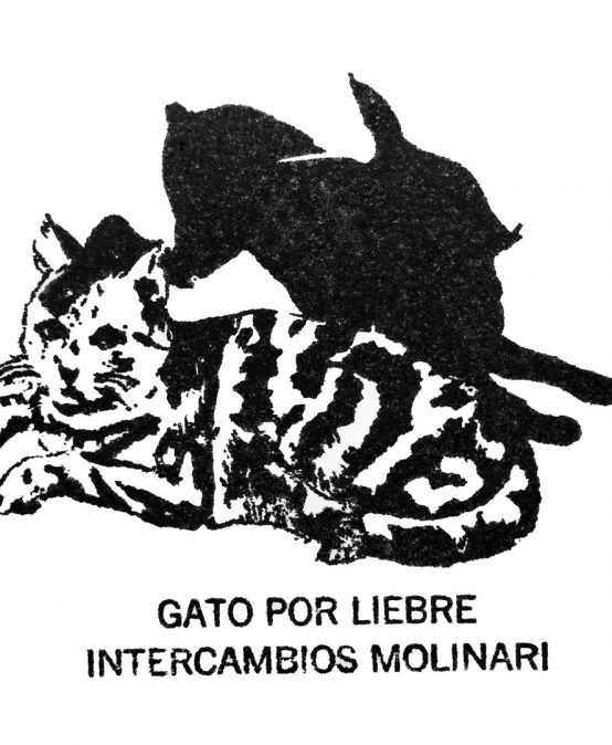 Gato por Liebre en ceniza | Exposición Ciénaga de Oro