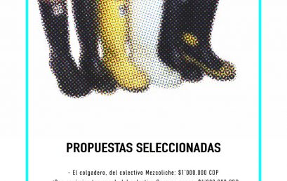 Propuestas seleccionadas convocatoria Bota 2019 1