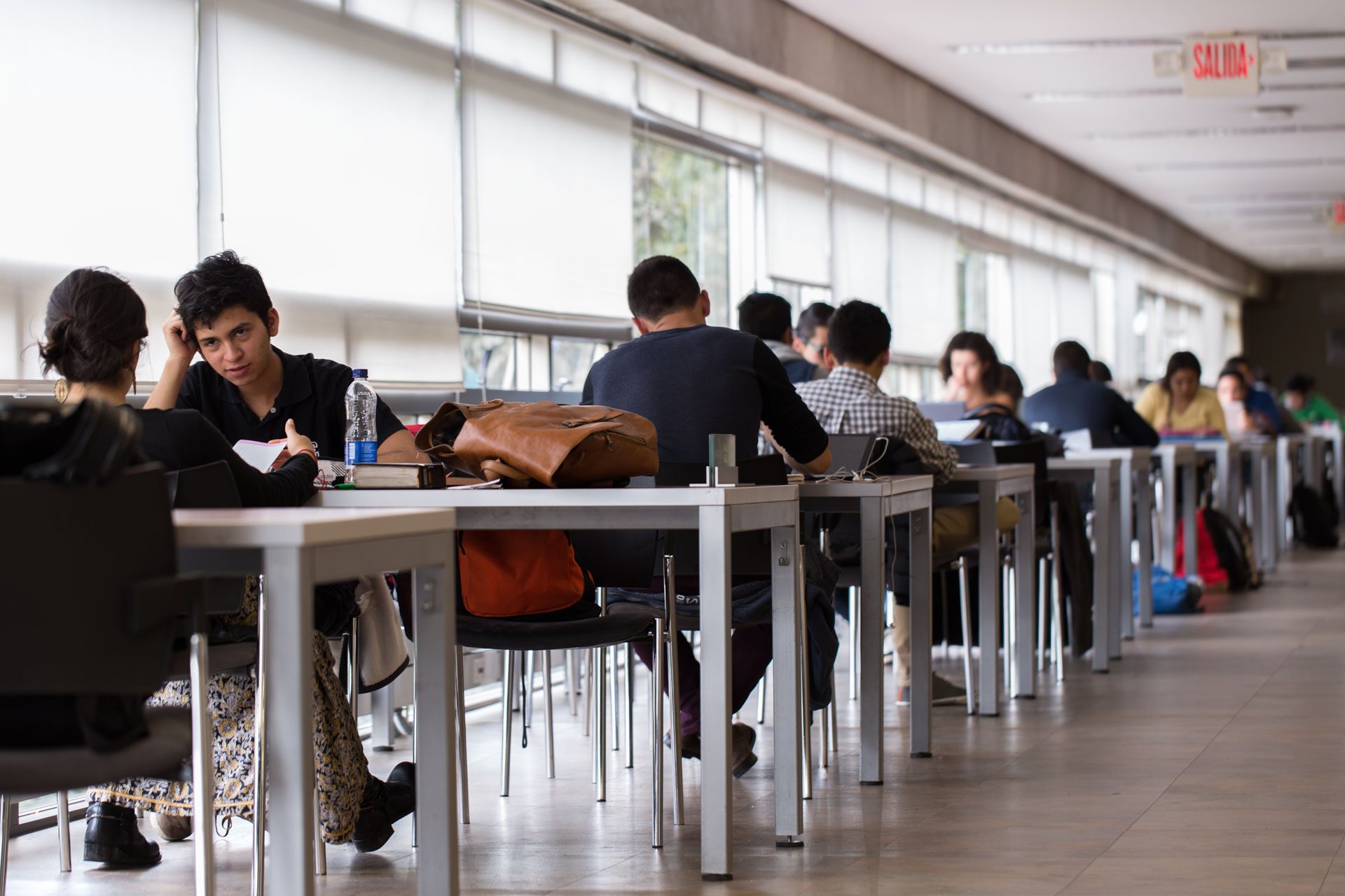 Oferta de cursos y consejerías de Literatura 2020-2