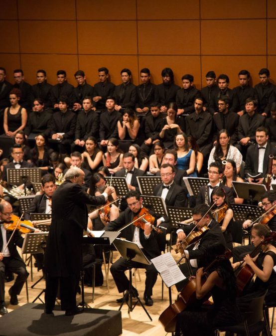 Ensayo general de la Orquesta de Los Andes abierto al público