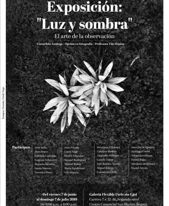 Exposición «Luz y sombra» el arte de la observación