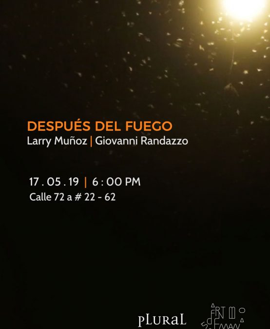 Exposición Después del fuego