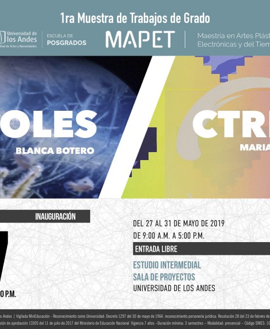 1ra muestra de trabajos de grado MAPET
