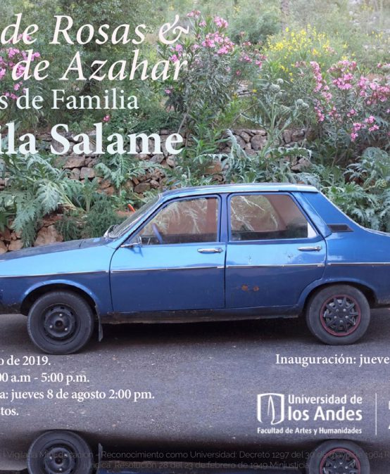 Exposición Agua de rosas & flores de azahar de Camila Salame
