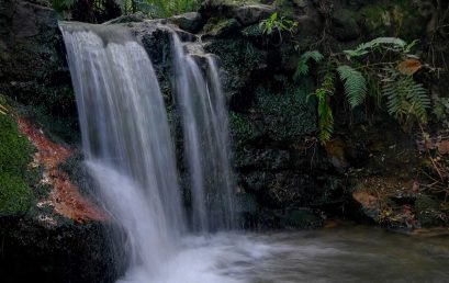Charla – Periodismo ambiental: más indispensable que nunca