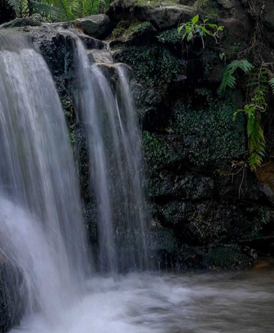Charla – Periodismo ambiental: más indispensable que nunca
