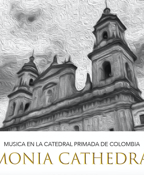 Recital de órgano en la Catedral con Vincent Heitzer