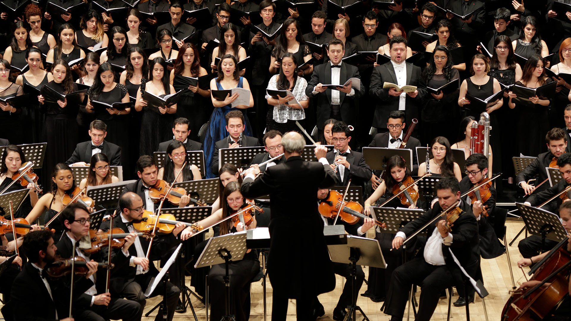Este programa cuenta con tres énfasis: composición, musicología e instrumento.