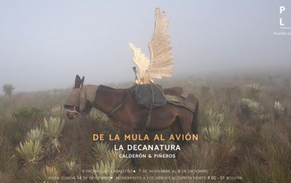 Exposición De la mula al avión de La Decanatura