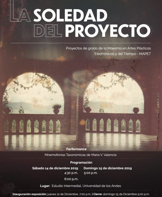 Perfomance Mnemofonías Taxonómicas de María A. Valencia