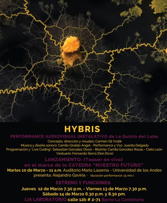 Lanzamiento Hybris en el marco de la cátedra «Nuestro futuro»