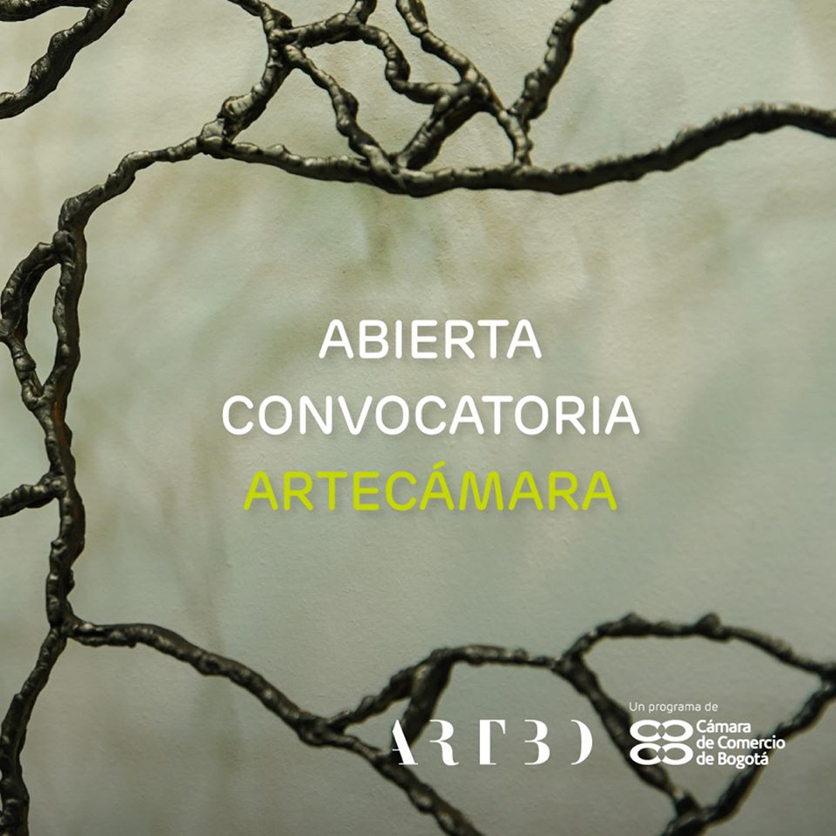 Convocatoria abierta hasta el 31 de marzo de 2020.