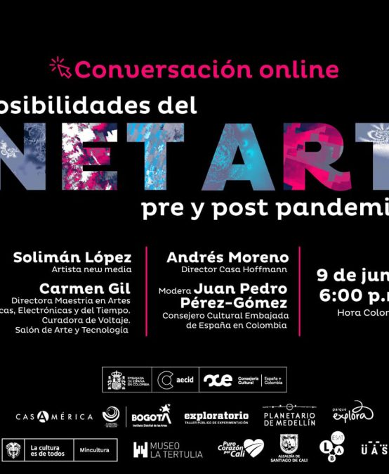 Posibilidades del net art: pre y post pandemia