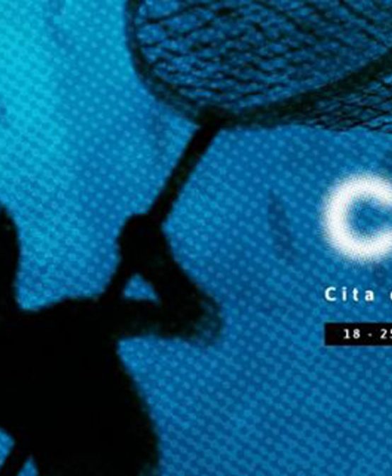 Críticas del audiovisual latinoamericano más allá de los bordes – Conversaciones con Carmen Gil Vrolijk