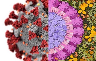 ¿Cómo representar al Coronavirus?