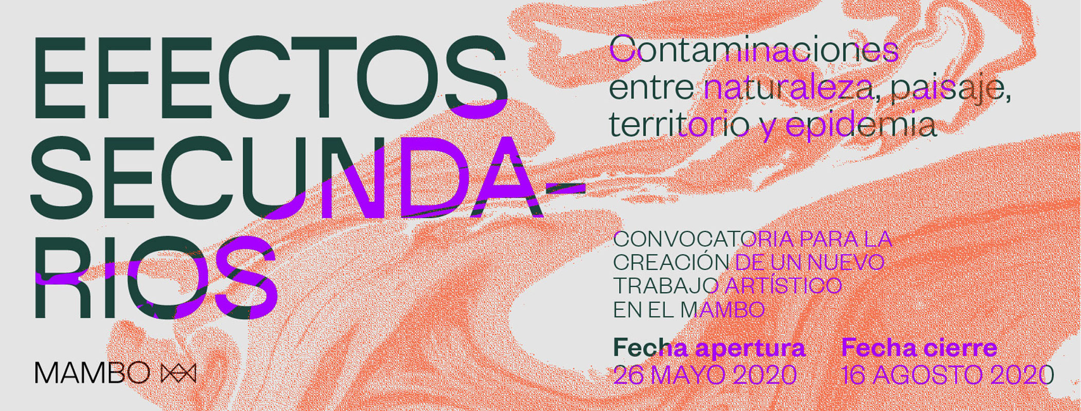Convocatoria Efectos Secundarios