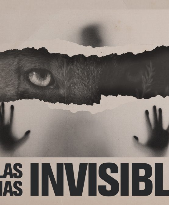 Lanzamiento podcast: Las bestias invisibles