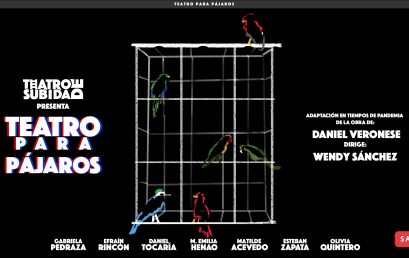 Obra | Teatro para pájaros | Teatro de subida