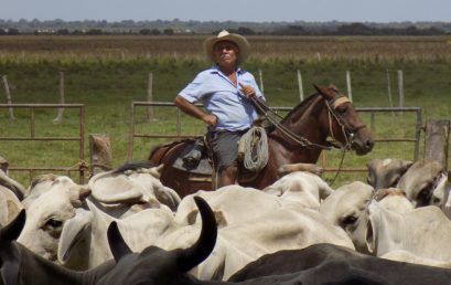 Cantos de trabajo del llano
