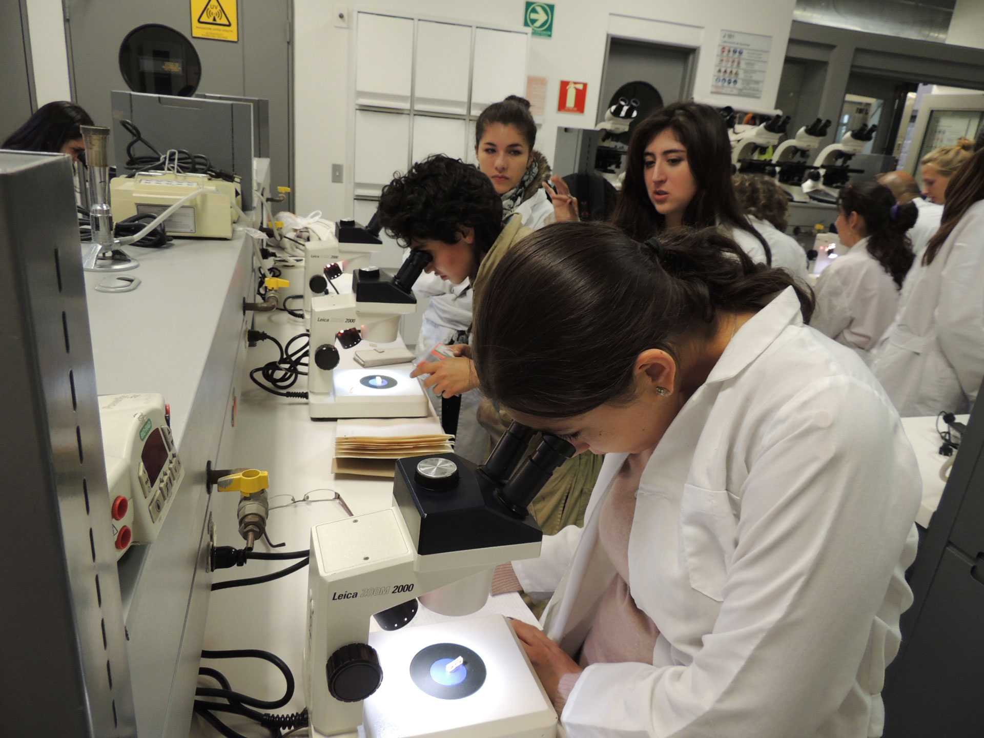 Existe una falsa premisa que sitúa a las ciencias y al arte en polos opuestos como dos universos de sentido distintos.