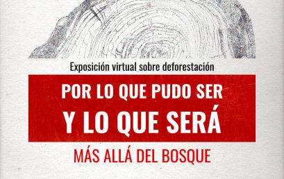 Exposición Por lo que pudo ser y lo que será: más allá del bosque