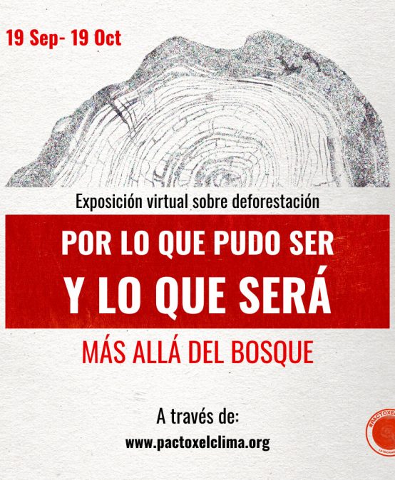 Exposición Por lo que pudo ser y lo que será: más allá del bosque