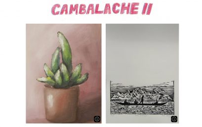 Cambalache II: Subasta apoyo Fiprovidence