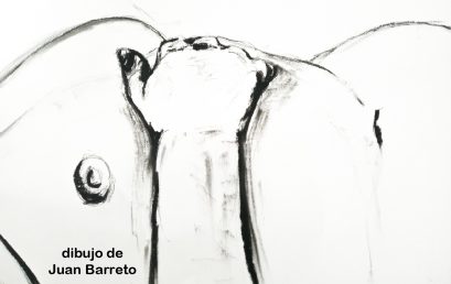 Viernes de Modelo virtual y presencial