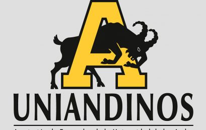 Profesional Senior Arte y Cultura | Uniandinos