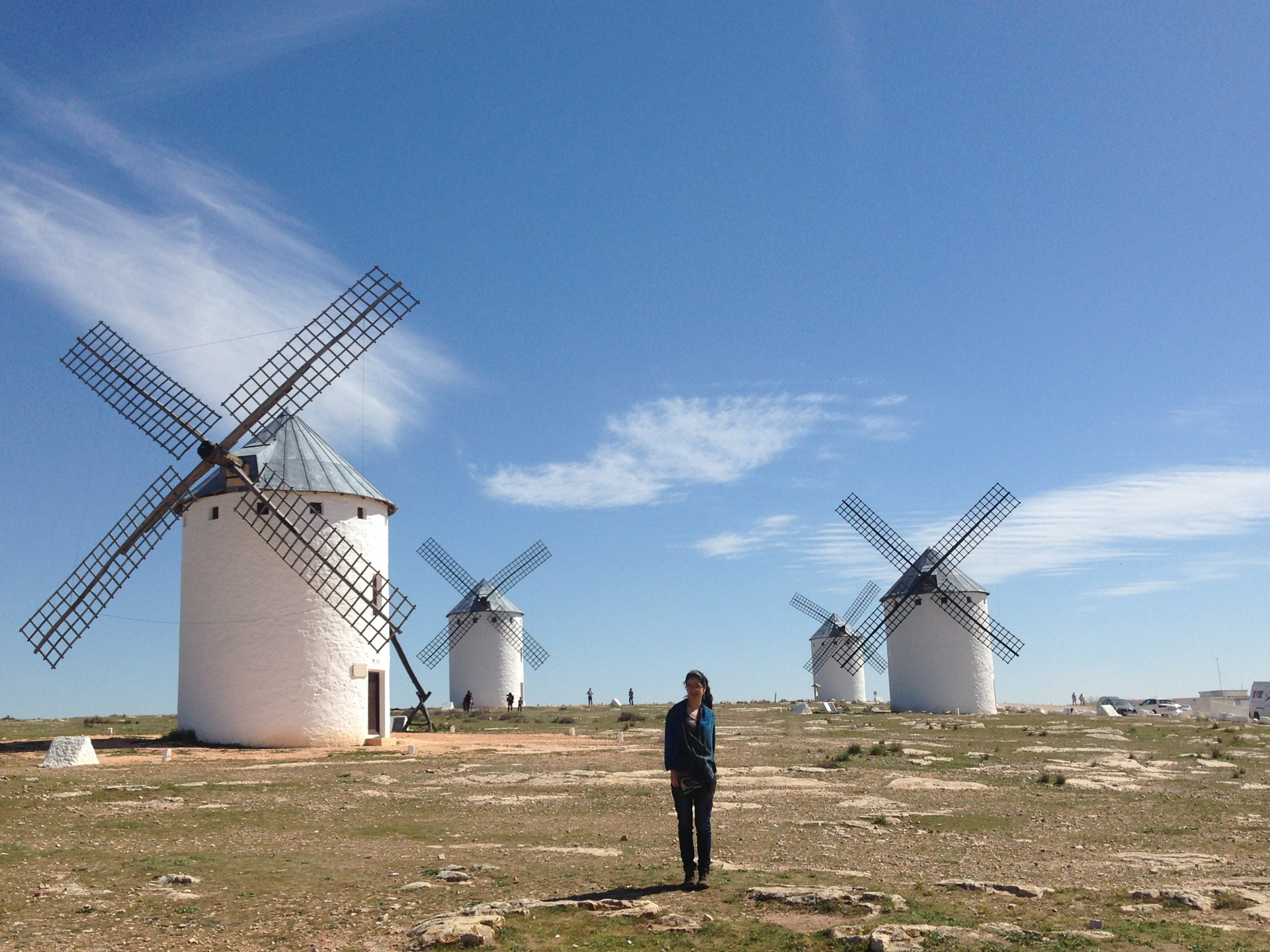El trabajo ganador estudia la poesía inserta en la obra de Cervantes