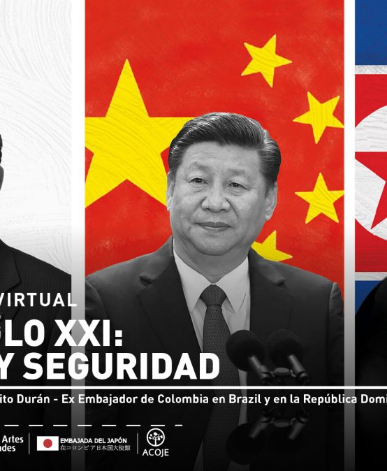 Japón siglo XXI: defensa y seguridad