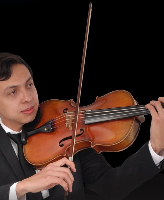 Luis Angel Mendieta, viola