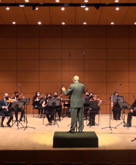 Temporada de Ensambles y Conjuntos 2021-1: Orquesta de los Andes