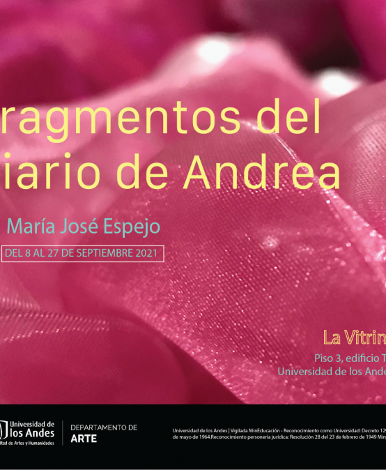 Exposición Fragmentos del diario de Andrea | Sala de Proyectos | Uniandes