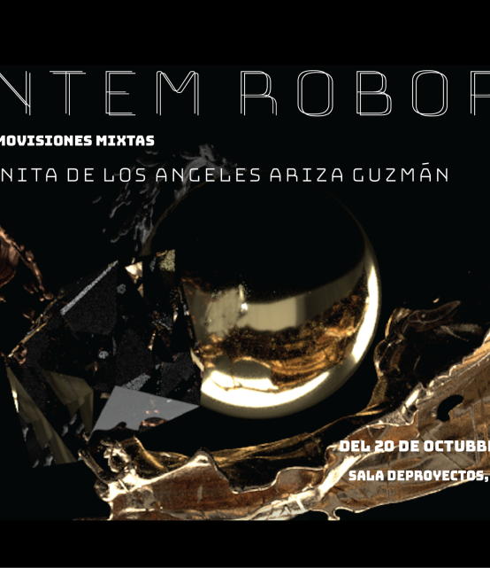 Mentem Roborat | Juanita de los Angeles Ariza Guzmán en la Sala de Proyectos