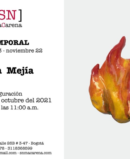 Temporal: Exposición de Juan Mejía en SN maCarena