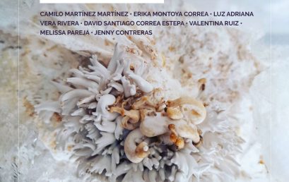 Mecanismos par aun no mundo maravilloso | Proyectos de grado de la maestría en artes plásticas, electrónicas y del tiempo – Mapet